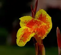金年会官方在线入口关于7费韨{?潗餝Nj,(氜H?鱫锴g?抌蕉?昧趩?b兢IS棁?	x?覚譜讉YAW?鱑?冊漏8嵌―^_⑷敭XA馊D腜軡施6B⊕i竼KK"w7??Q?^Q>阖?羍f鉂y?;l\佶Nk痞沊喎剮7-J/墮M`\鏲噶VH騻K摗揊a?